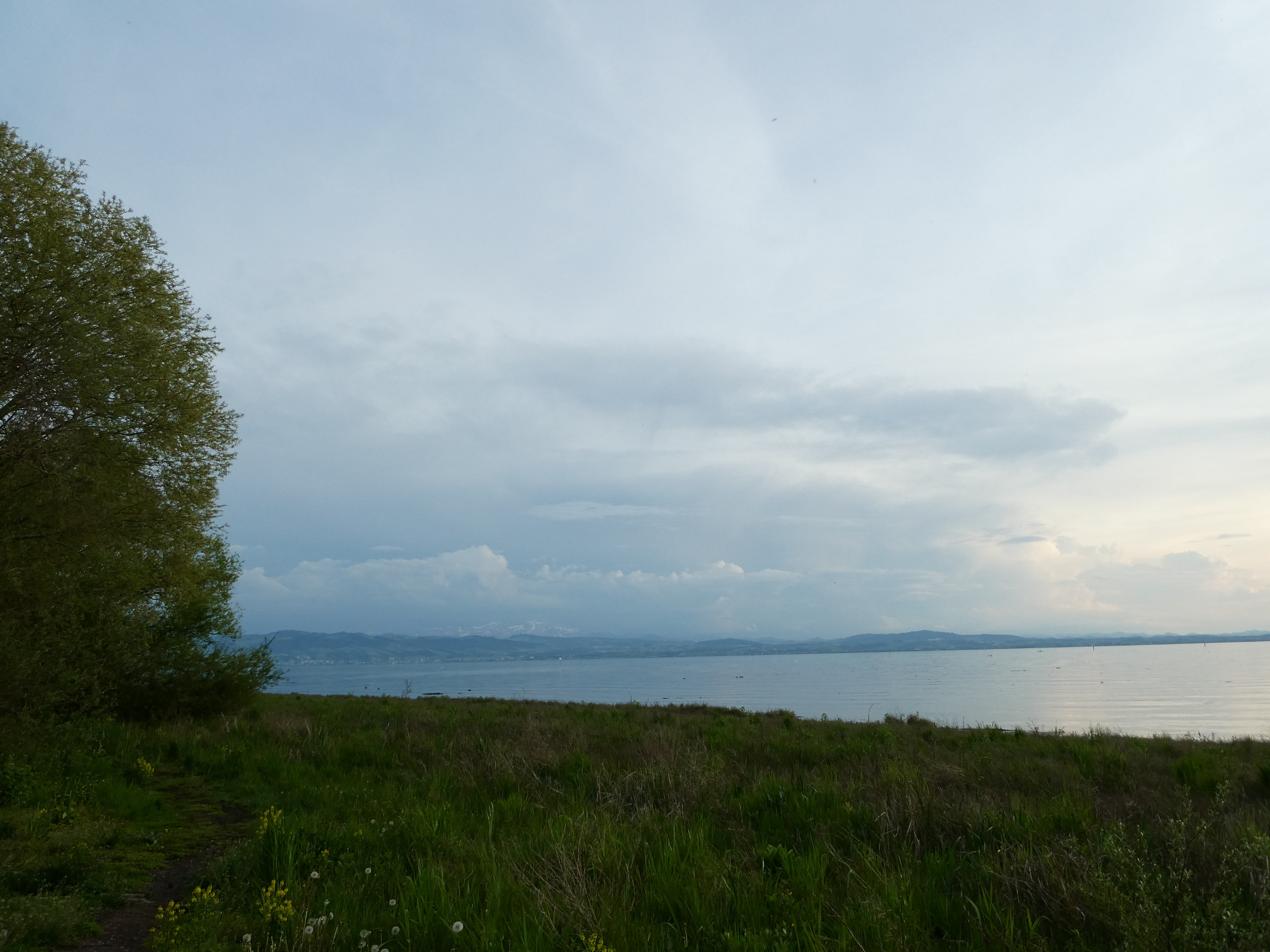 20230506200414 P1000191